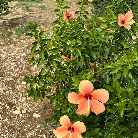 וילה Stella Del Mare